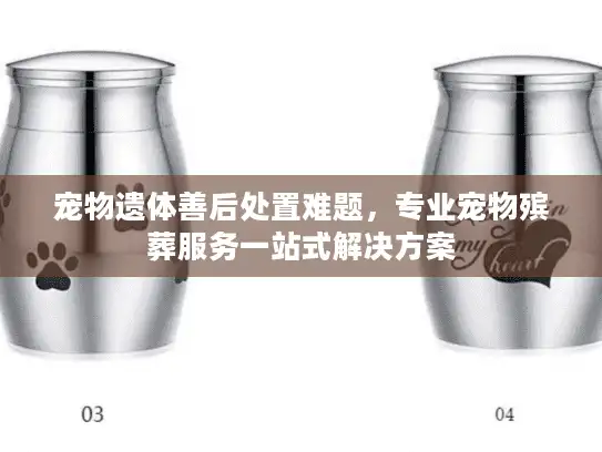 宠物遗体善后处置难题，专业宠物殡葬服务一站式解决方案
