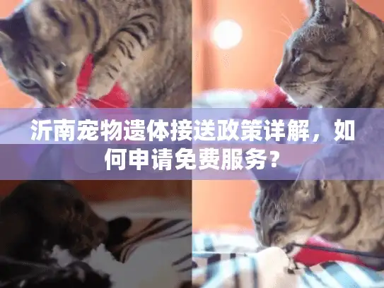 沂南宠物遗体接送政策详解，如何申请免费服务？