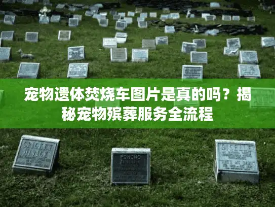 宠物遗体焚烧车图片是真的吗？揭秘宠物殡葬服务全流程