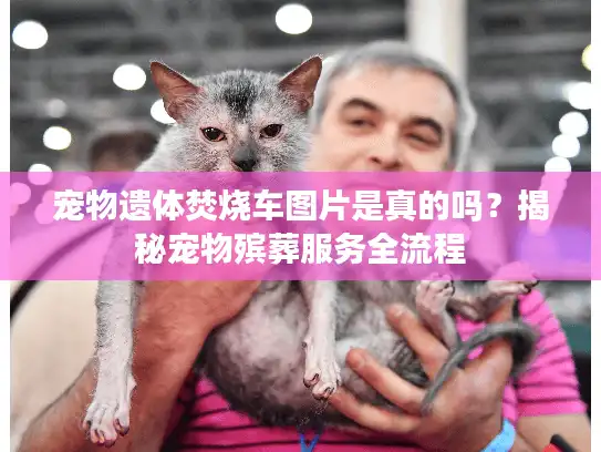 宠物遗体焚烧车图片是真的吗？揭秘宠物殡葬服务全流程