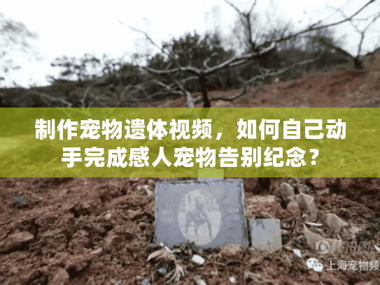 制作宠物遗体视频，如何自己动手完成感人宠物告别纪念？