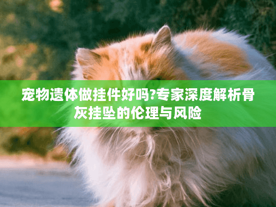 宠物遗体做挂件好吗?专家深度解析骨灰挂坠的伦理与风险