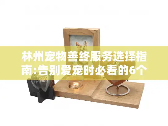 林州宠物善终服务选择指南:告别爱宠时必看的6个细节