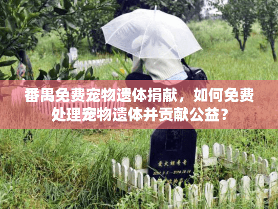 番禺免费宠物遗体捐献，如何免费处理宠物遗体并贡献公益？