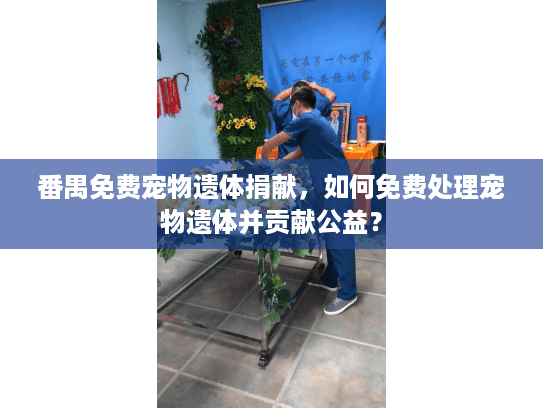 番禺免费宠物遗体捐献，如何免费处理宠物遗体并贡献公益？