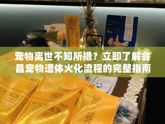 宠物离世不知所措？立即了解会昌宠物遗体火化流程的完整指南