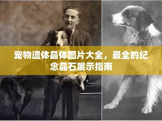 宠物遗体晶体图片大全，最全的纪念晶石展示指南