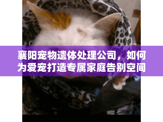 襄阳宠物遗体处理公司，如何为爱宠打造专属家庭告别空间？
