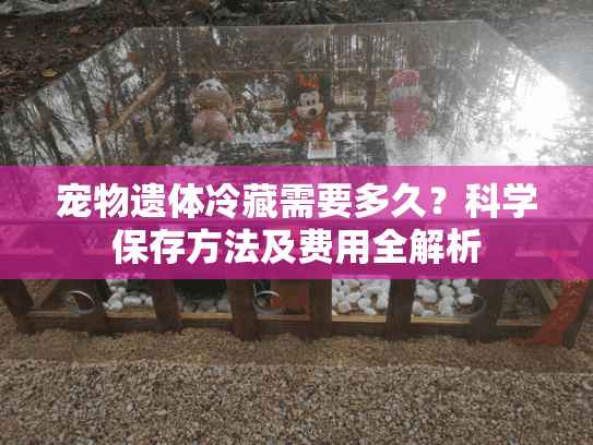 宠物遗体冷藏需要多久?科学保存方法及费用全解析 宠物遗体冷藏需要多久?科学保存方法及费用全解析