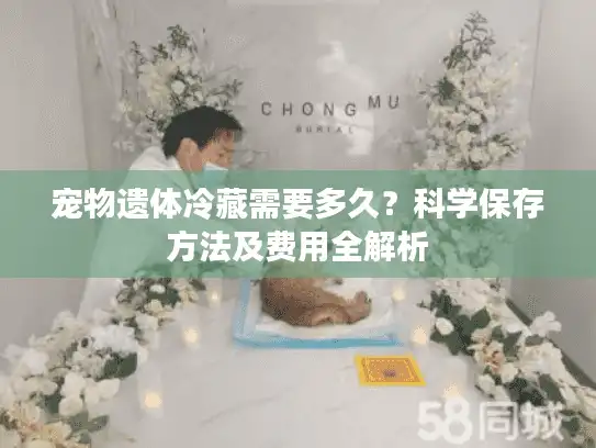宠物遗体冷藏需要多久?科学保存方法及费用全解析 宠物遗体冷藏需要多久?科学保存方法及费用全解析