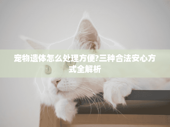 宠物遗体怎么处理方便?三种合法安心方式全解析 宠物遗体怎么处理方便?三种合法安心方式全解析