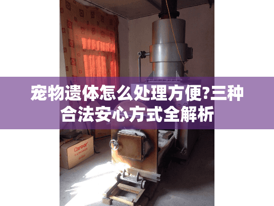 宠物遗体怎么处理方便?三种合法安心方式全解析 宠物遗体怎么处理方便?三种合法安心方式全解析