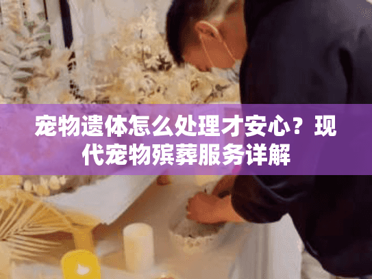 宠物遗体怎么处理才安心？现代宠物殡葬服务详解