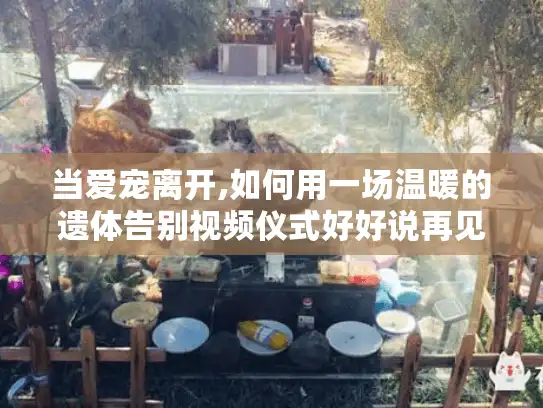 当爱宠离开,如何用一场温暖的遗体告别视频仪式好好说再见?