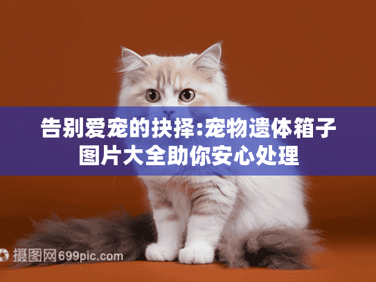 告别爱宠的抉择:宠物遗体箱子图片大全助你安心处理