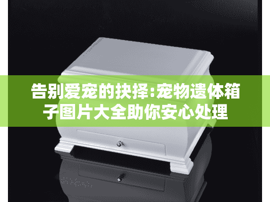 告别爱宠的抉择:宠物遗体箱子图片大全助你安心处理