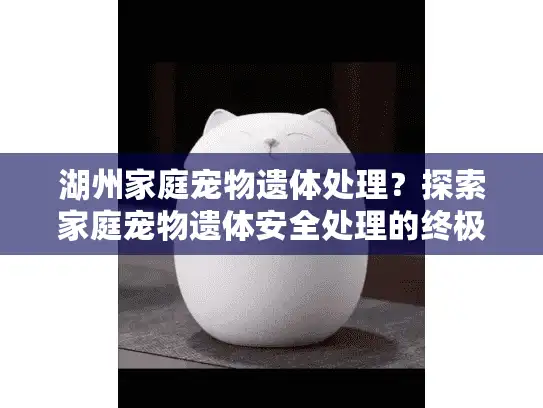 湖州家庭宠物遗体处理？探索家庭宠物遗体安全处理的终极指南