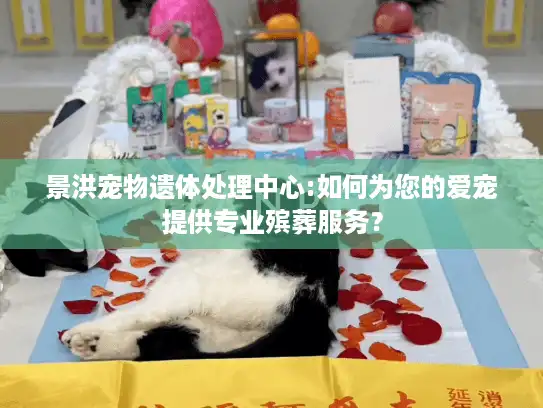 景洪宠物遗体处理中心:如何为您的爱宠提供专业殡葬服务？