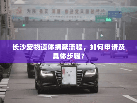 长沙宠物遗体捐献流程，如何申请及具体步骤？