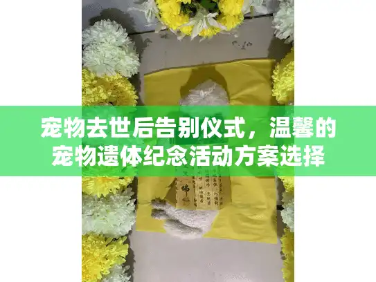 宠物去世后告别仪式，温馨的宠物遗体纪念活动方案选择