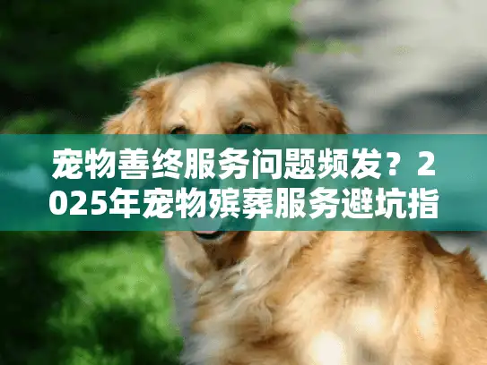 宠物善终服务问题频发？2025年宠物殡葬服务避坑指南来了！
