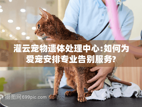 灌云宠物遗体处理中心:如何为爱宠安排专业告别服务? 灌云宠物遗体处理中心:如何为爱宠安排专业告别服务?