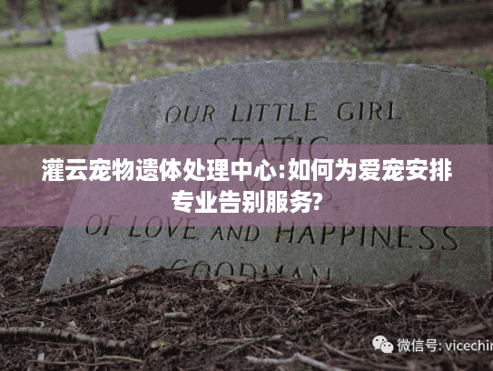 灌云宠物遗体处理中心:如何为爱宠安排专业告别服务? 灌云宠物遗体处理中心:如何为爱宠安排专业告别服务?