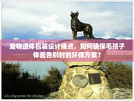 宠物遗体包装设计痛点,如何确保毛孩子体面告别时的环保方案? 宠物遗体包装设计痛点,如何确保毛孩子体面告别时的环保方案?