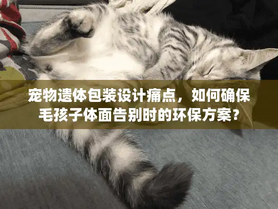 宠物遗体包装设计痛点,如何确保毛孩子体面告别时的环保方案? 宠物遗体包装设计痛点,如何确保毛孩子体面告别时的环保方案?