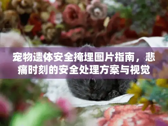 宠物遗体安全掩埋图片指南，悲痛时刻的安全处理方案与视觉参考