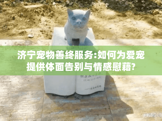 济宁宠物善终服务:如何为爱宠提供体面告别与情感慰藉?