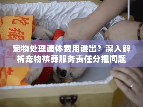 宠物处理遗体费用谁出?深入解析宠物殡葬服务责任分担问题 宠物处理遗体费用谁出?深入解析宠物殡葬服务责任分担问题
