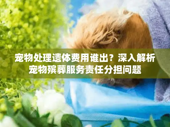 宠物处理遗体费用谁出?深入解析宠物殡葬服务责任分担问题 宠物处理遗体费用谁出?深入解析宠物殡葬服务责任分担问题