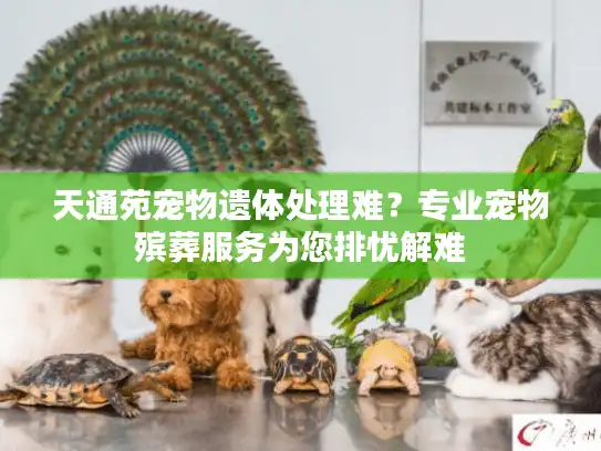 天通苑宠物遗体处理难?专业宠物殡葬服务为您排忧解难 天通苑宠物遗体处理难?专业宠物殡葬服务为您排忧解难