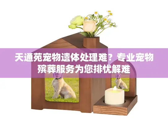 天通苑宠物遗体处理难?专业宠物殡葬服务为您排忧解难 天通苑宠物遗体处理难?专业宠物殡葬服务为您排忧解难