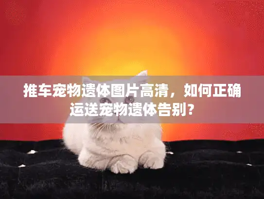 推车宠物遗体图片高清,如何正确运送宠物遗体告别? 推车宠物遗体图片高清,如何正确运送宠物遗体告别?