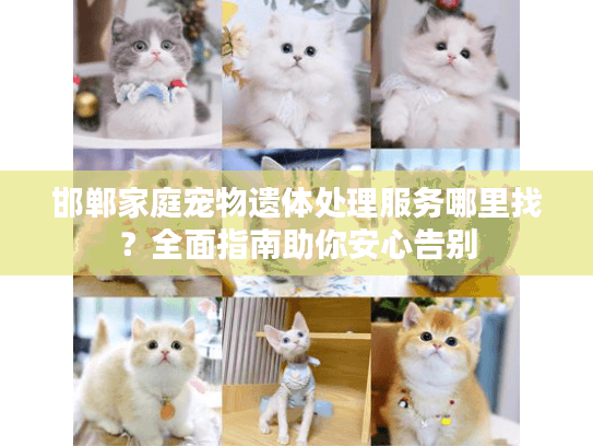 邯郸家庭宠物遗体处理服务哪里找？全面指南助你安心告别