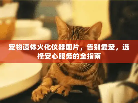 宠物遗体火化仪器图片，告别爱宠，选择安心服务的全指南