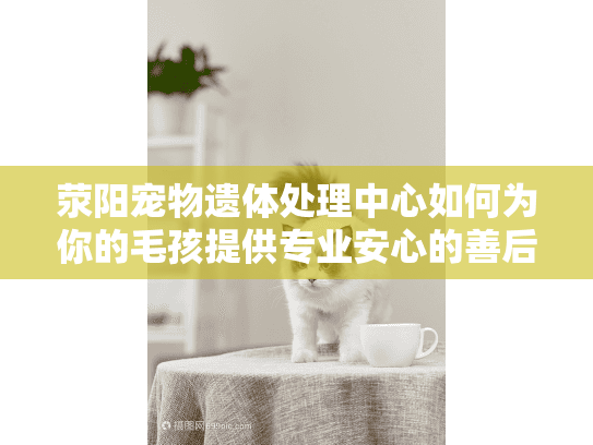 荥阳宠物遗体处理中心如何为你的毛孩提供专业安心的善后服务？