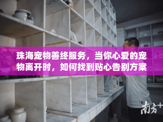珠海宠物善终服务，当你心爱的宠物离开时，如何找到贴心告别方案？