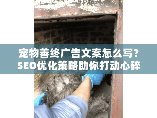 宠物善终广告文案怎么写？SEO优化策略助你打动心碎主人