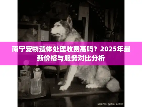 南宁宠物遗体处理收费高吗？2025年最新价格与服务对比分析