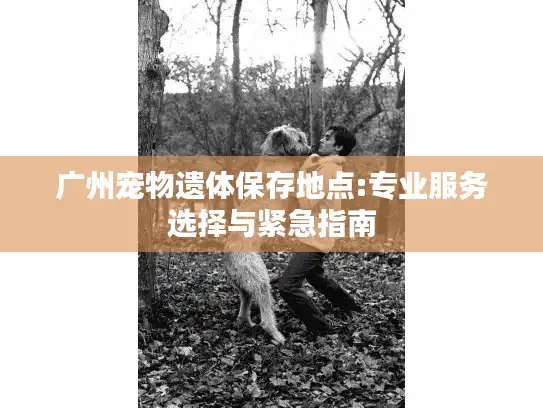 广州宠物遗体保存地点:专业服务选择与紧急指南 广州宠物遗体保存地点:专业服务选择与紧急指南