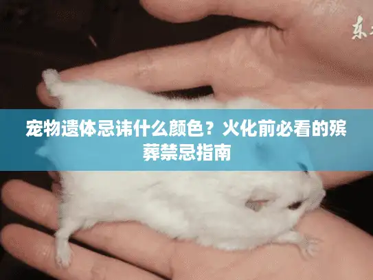 宠物遗体忌讳什么颜色?火化前必看的殡葬禁忌指南 宠物遗体忌讳什么颜色?火化前必看的殡葬禁忌指南