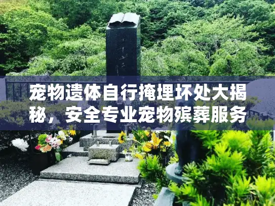宠物遗体自行掩埋坏处大揭秘，安全专业宠物殡葬服务的重要性
