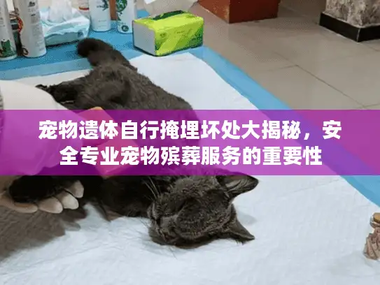 宠物遗体自行掩埋坏处大揭秘，安全专业宠物殡葬服务的重要性