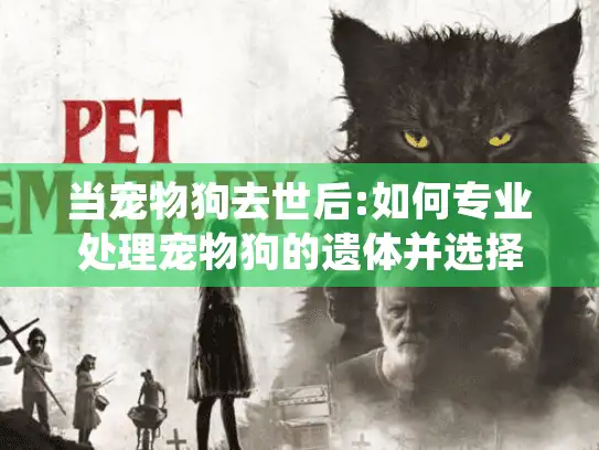 当宠物狗去世后:如何专业处理宠物狗的遗体并选择靠谱的宠物殡葬服务