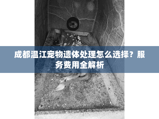 成都温江宠物遗体处理怎么选择?服务费用全解析 成都温江宠物遗体处理怎么选择?服务费用全解析