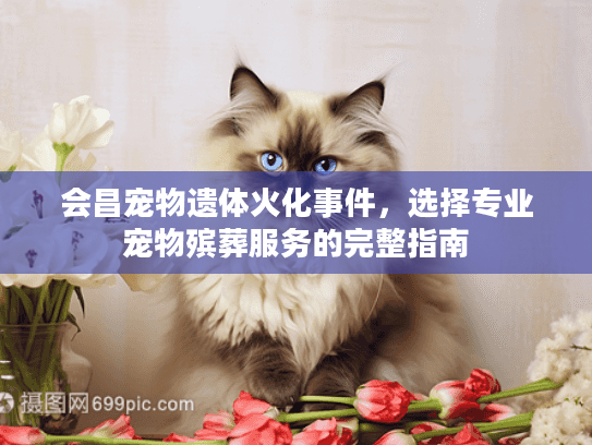 会昌宠物遗体火化事件，选择专业宠物殡葬服务的完整指南