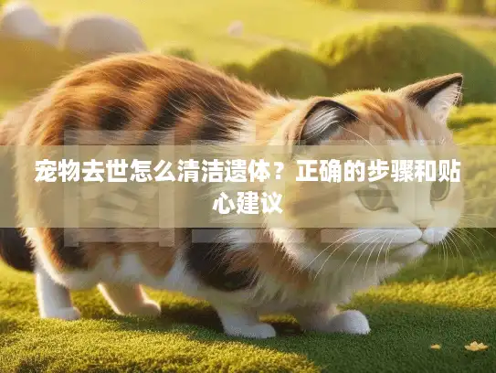 宠物去世怎么清洁遗体?正确的步骤和贴心建议 宠物去世怎么清洁遗体?正确的步骤和贴心建议